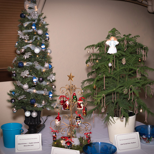 Festival of Trees 2022